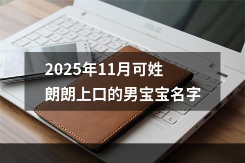 2025年11月可姓朗朗上口的男宝宝名字