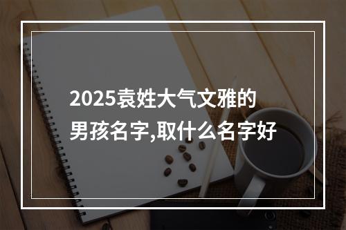 2025袁姓大气文雅的男孩名字,取什么名字好