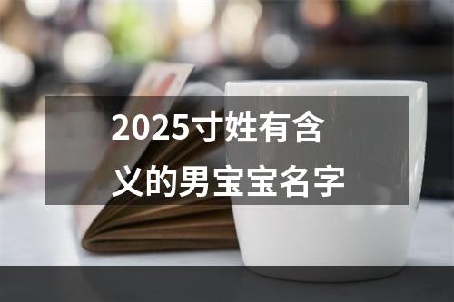 2025寸姓有含义的男宝宝名字