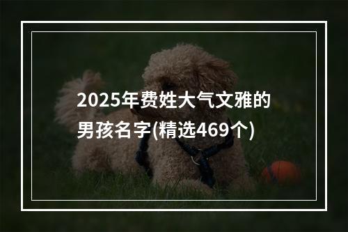 2025年费姓大气文雅的男孩名字(精选469个)
