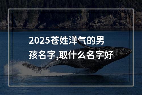 2025苍姓洋气的男孩名字,取什么名字好