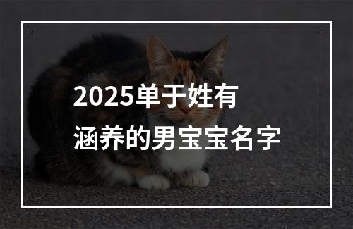 2025单于姓有涵养的男宝宝名字