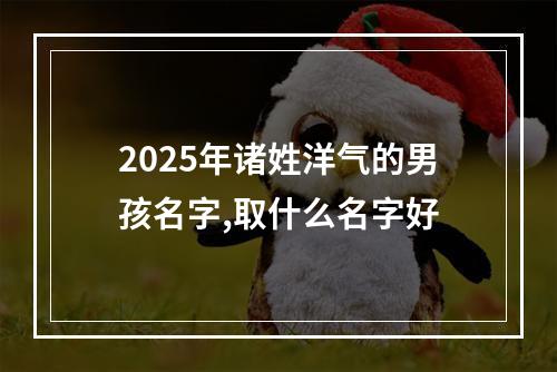 2025年诸姓洋气的男孩名字,取什么名字好