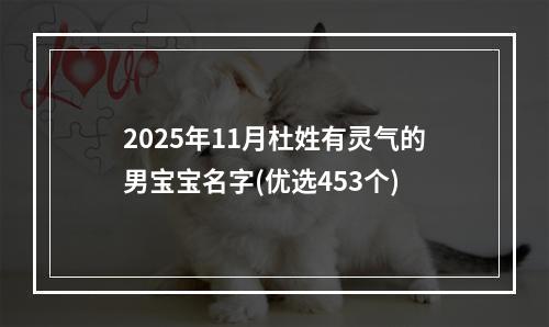 2025年11月杜姓有灵气的男宝宝名字(优选453个)