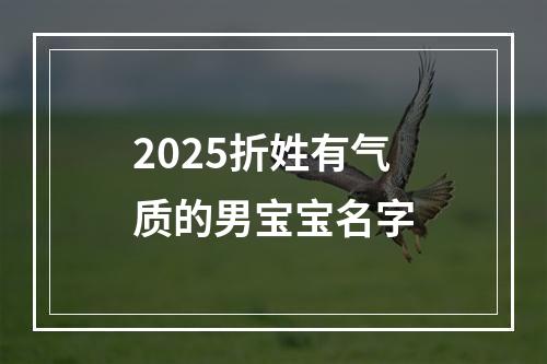 2025折姓有气质的男宝宝名字