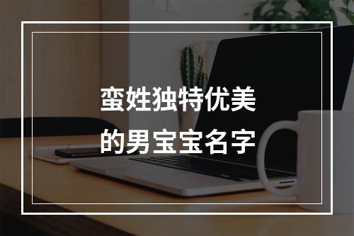 蛮姓独特优美的男宝宝名字