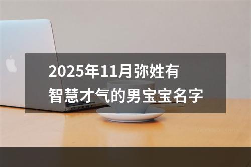 2025年11月弥姓有智慧才气的男宝宝名字