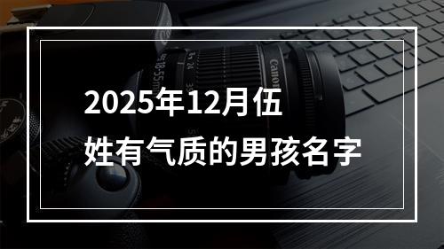 2025年12月伍姓有气质的男孩名字