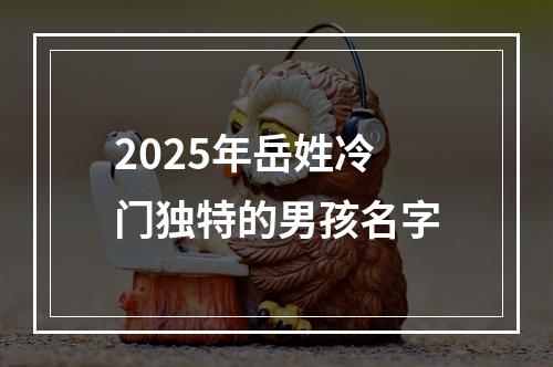 2025年岳姓冷门独特的男孩名字