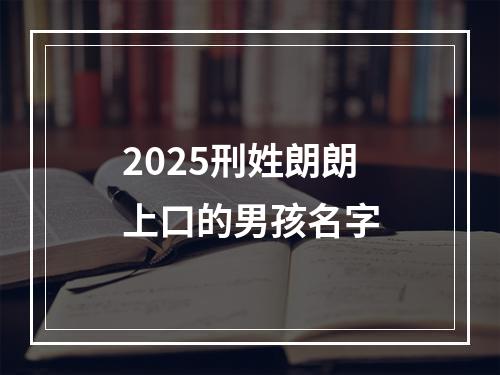 2025刑姓朗朗上口的男孩名字