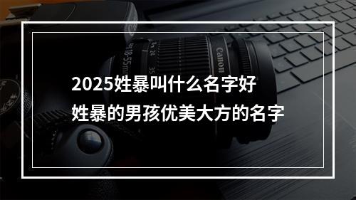 2025姓暴叫什么名字好 姓暴的男孩优美大方的名字