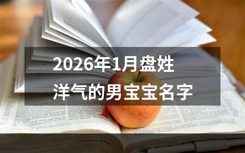 2026年1月盘姓洋气的男宝宝名字