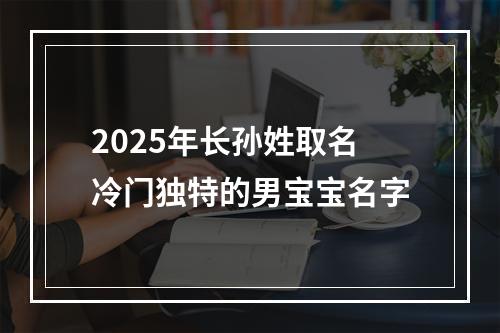 2025年长孙姓取名冷门独特的男宝宝名字