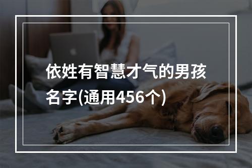 依姓有智慧才气的男孩名字(通用456个)