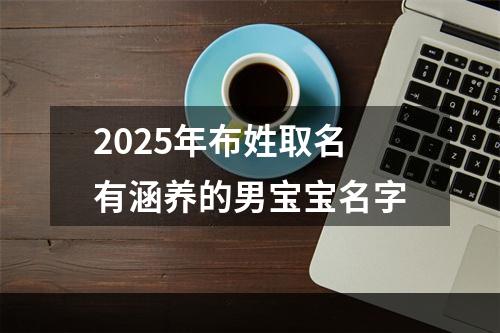2025年布姓取名有涵养的男宝宝名字