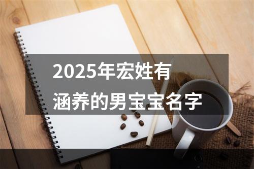 2025年宏姓有涵养的男宝宝名字