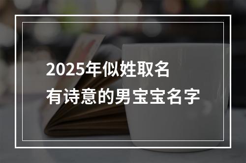 2025年似姓取名有诗意的男宝宝名字