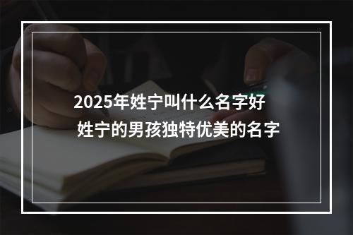 2025年姓宁叫什么名字好 姓宁的男孩独特优美的名字