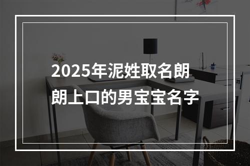 2025年泥姓取名朗朗上口的男宝宝名字