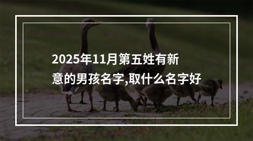 2025年11月第五姓有新意的男孩名字,取什么名字好