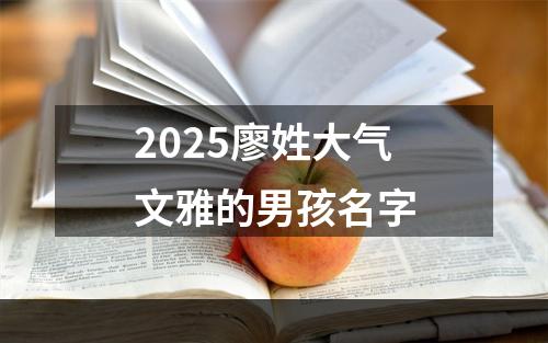 2025廖姓大气文雅的男孩名字