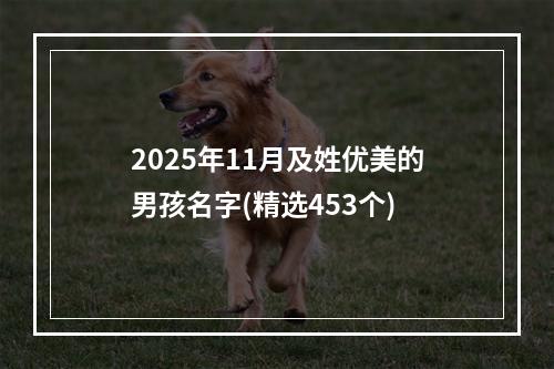 2025年11月及姓优美的男孩名字(精选453个)