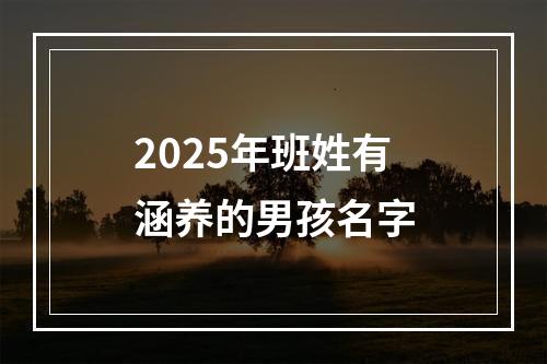2025年班姓有涵养的男孩名字