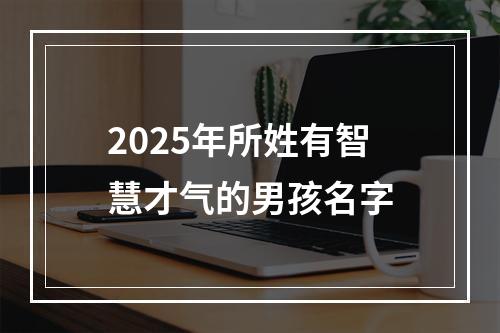 2025年所姓有智慧才气的男孩名字