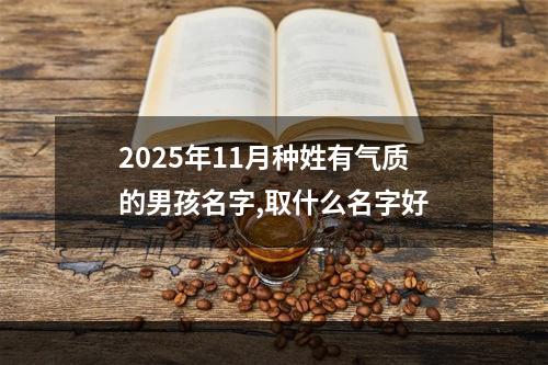 2025年11月种姓有气质的男孩名字,取什么名字好