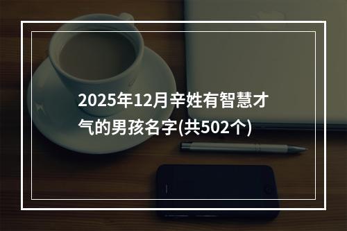 2025年12月辛姓有智慧才气的男孩名字(共502个)