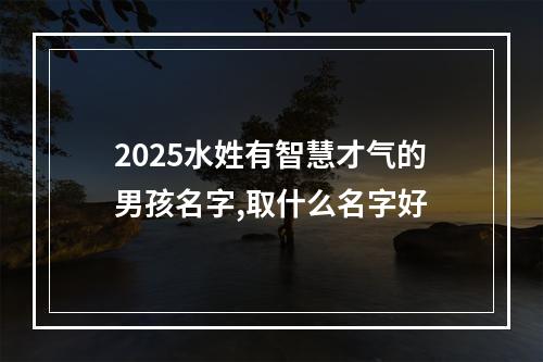 2025水姓有智慧才气的男孩名字,取什么名字好