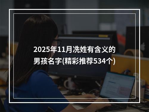 2025年11月冼姓有含义的男孩名字(精彩推荐534个)