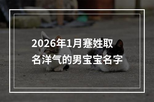 2026年1月蹇姓取名洋气的男宝宝名字