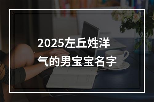 2025左丘姓洋气的男宝宝名字
