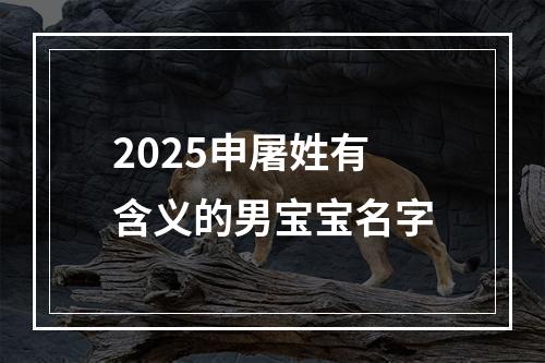 2025申屠姓有含义的男宝宝名字