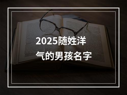 2025随姓洋气的男孩名字