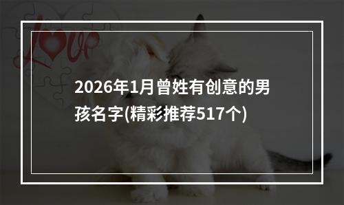 2026年1月曾姓有创意的男孩名字(精彩推荐517个)