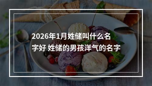 2026年1月姓储叫什么名字好 姓储的男孩洋气的名字