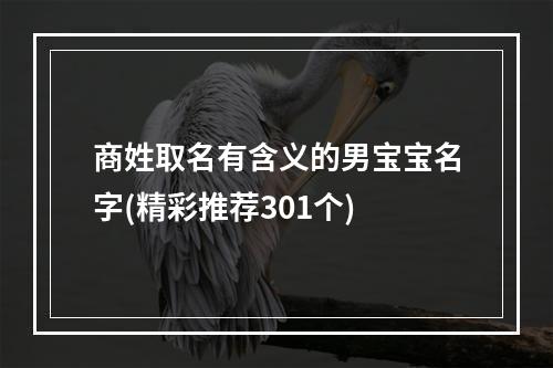 商姓取名有含义的男宝宝名字(精彩推荐301个)