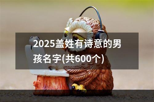 2025盖姓有诗意的男孩名字(共600个)