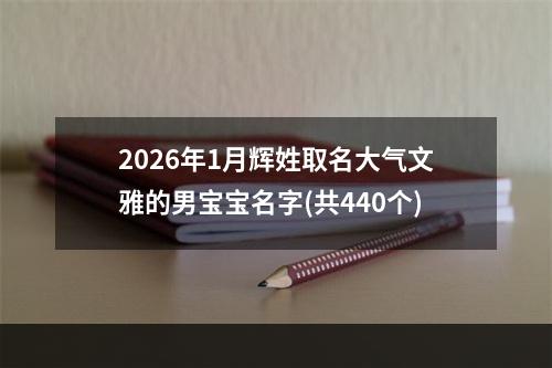 2026年1月辉姓取名大气文雅的男宝宝名字(共440个)