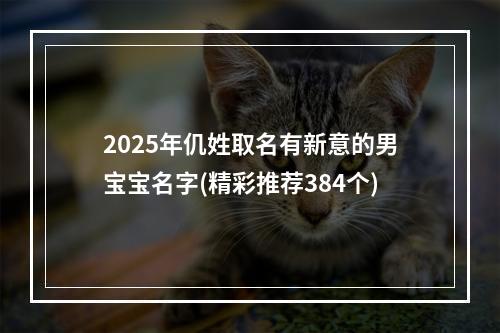 2025年仉姓取名有新意的男宝宝名字(精彩推荐384个)