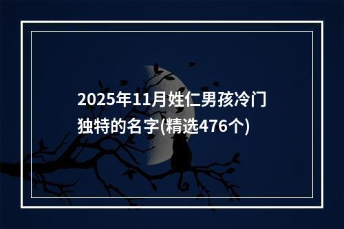 2025年11月姓仁男孩冷门独特的名字(精选476个)