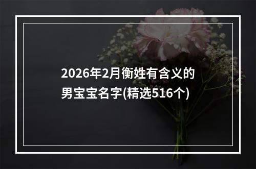 2026年2月衡姓有含义的男宝宝名字(精选516个)