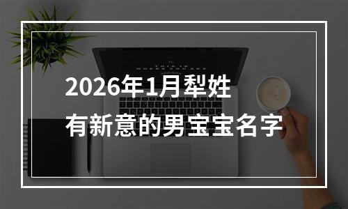 2026年1月犁姓有新意的男宝宝名字