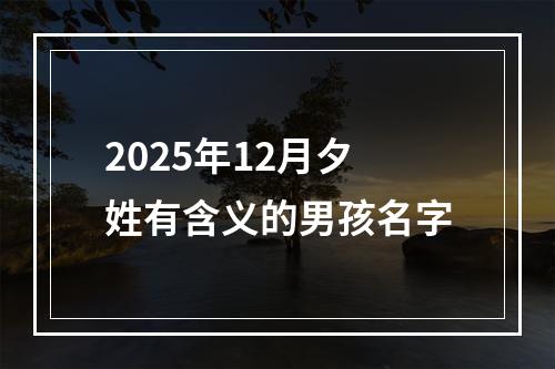 2025年12月夕姓有含义的男孩名字