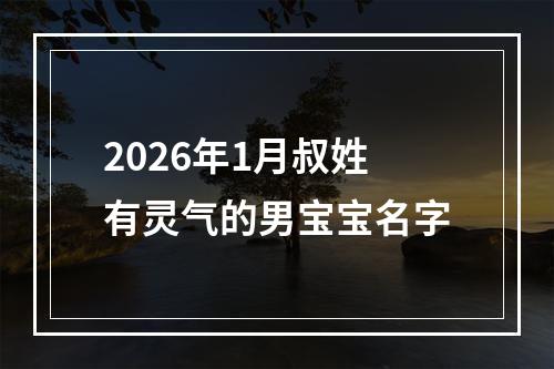 2026年1月叔姓有灵气的男宝宝名字