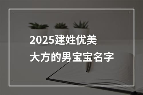 2025建姓优美大方的男宝宝名字