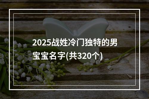 2025战姓冷门独特的男宝宝名字(共320个)