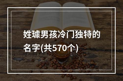 姓璩男孩冷门独特的名字(共570个)